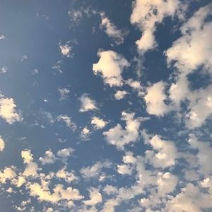 Meet your Posher, Marilyn